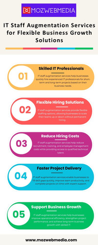 IT Staff Augmentation Services for Flexible Business Growth Solutions.jpg