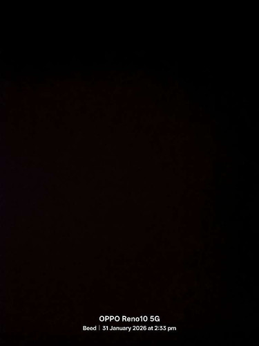 d8b8961a3720.jpg