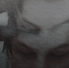 Charabild.gif