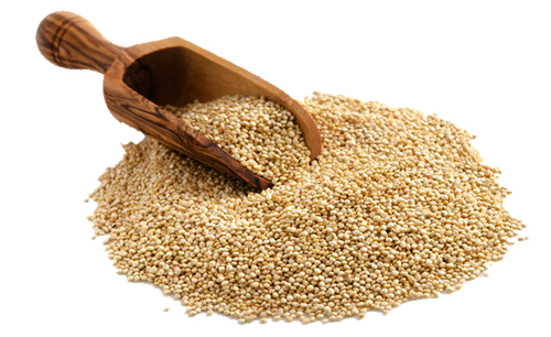 quinoa cereal germ whole grain food others 1102d07c1c498331a5ee593112d9e414.png