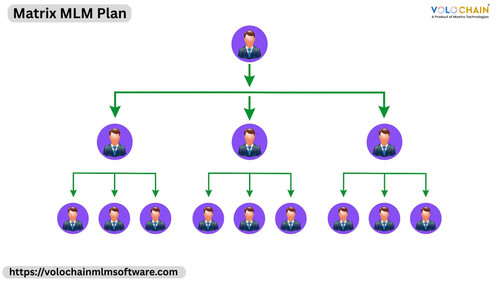 Powerful Matrix MLM Plan for Faster Business Network Growth.jpg