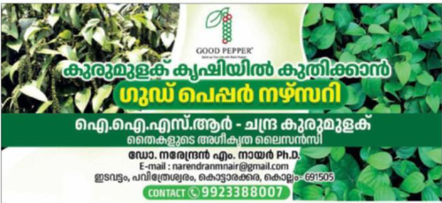 image.2