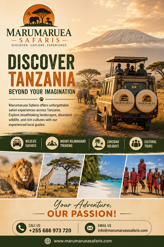 marumaru east africa safari image.png