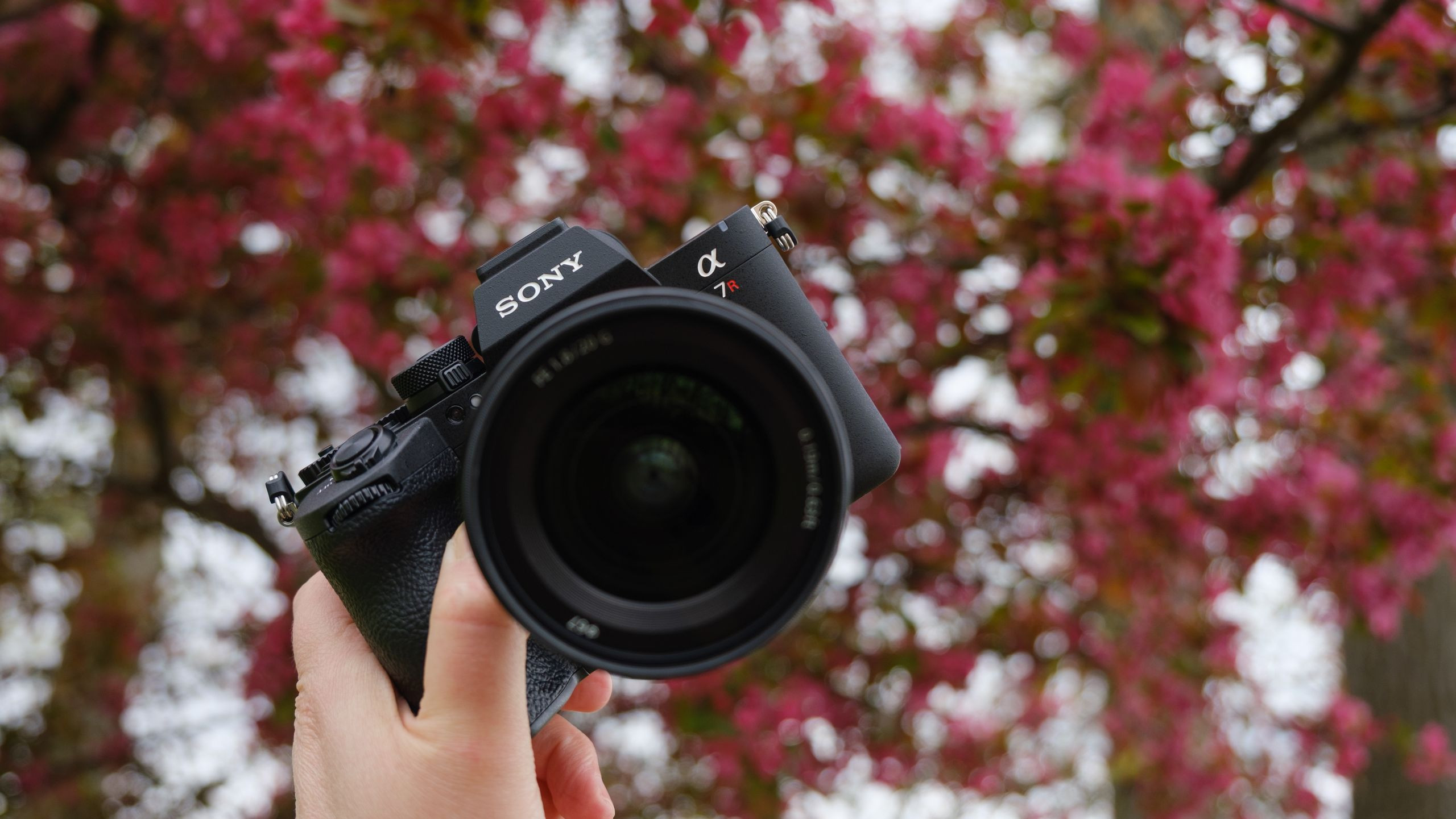 Sony A7R VI Soán Ngôi A7 V: Lộ Diện Top Máy Ảnh Bán Chạy Nhất