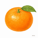 23. みかん — jeruk