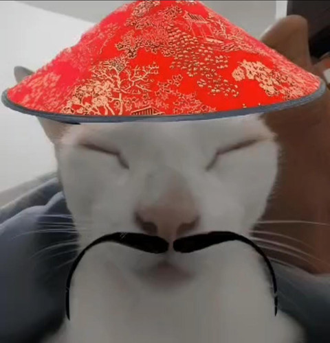 image.jpg