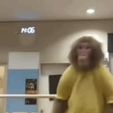 2ca4e97f61b4.png