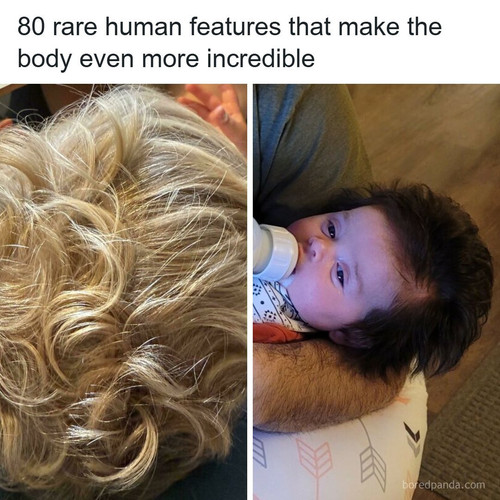 human body pics.jpg
