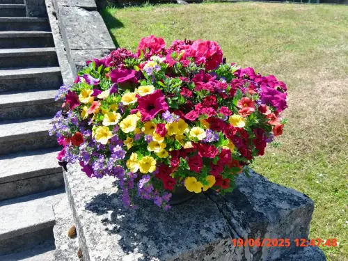 d29d9c8ffe92.webp
