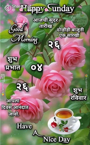 8a24eed5a020.jpg