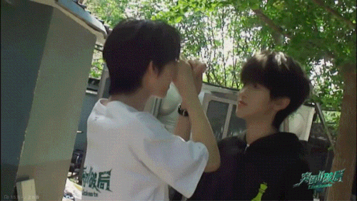 IMB DLWV8b.gif