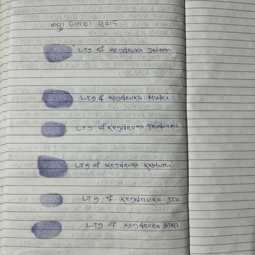 240c38d513df.jpg