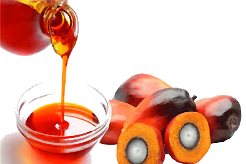 palm oil palm kernel oil cooking oils african oil palm oil 7c819a2e7e93969181d5fa705bdb5546.png