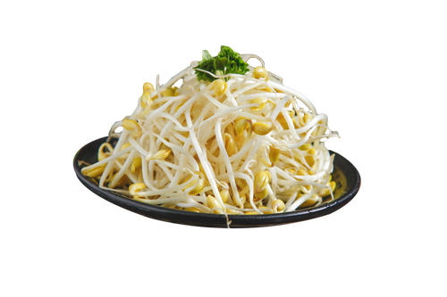 —Pngtree—fresh bean sprouts 5631692.png