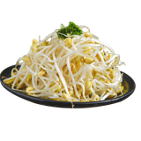 —Pngtree—fresh bean sprouts 5631692