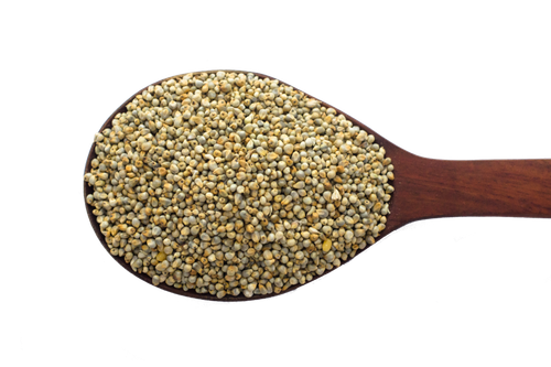 pearl millet finger millet foxtail millet panicum sumatrense others 64d7d210c7afeddb01a00216c150ee05.png