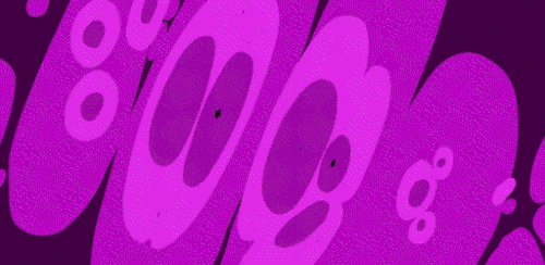 Banner Discord.gif