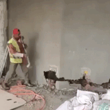 1111.gif