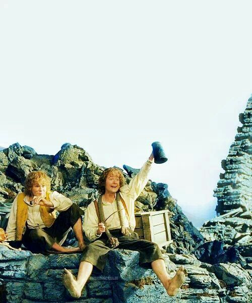 1000291139.jpg