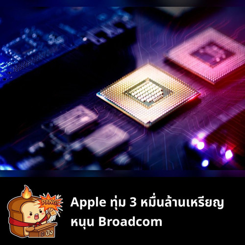 a12d5b513507.jpg
