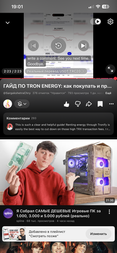 IMG 5864.png