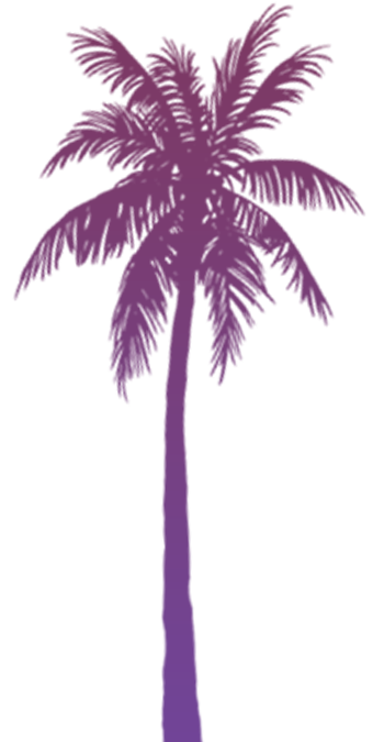 palm.png