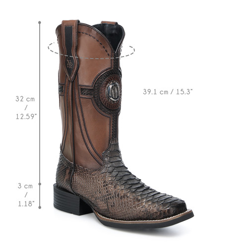 3Z2SPH MIEL piton reticulatus back maverick cafe bota 02 iso.jpg