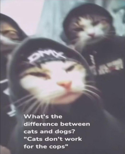 1000001240.jpg