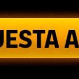 palms back cuotas mundial 08 07 2026 Boton