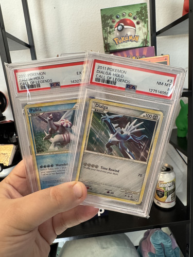 groudon kyogre ayRvMkgS.jpg