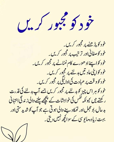 fb6b98f84d3a.1