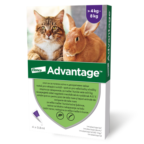 BH SI HU RO AL HR CZ RS ME MK BG Advantage packshot 4 8kg 0 8ml 4 count.2