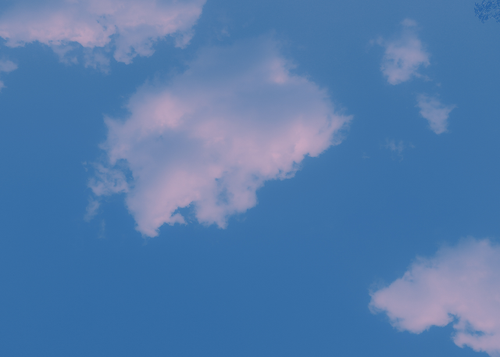 temp.png