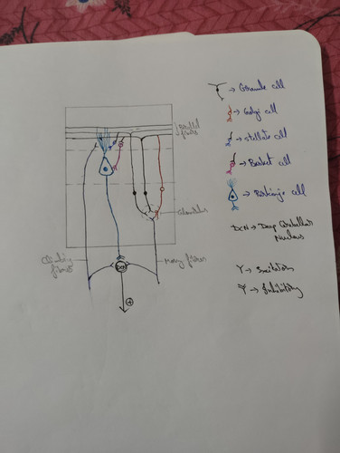 1000117449.jpg