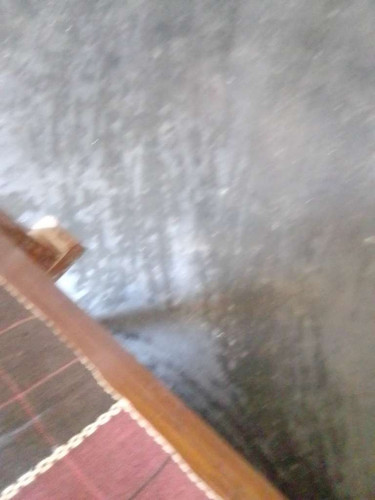 b7fd4a5f3483.jpg