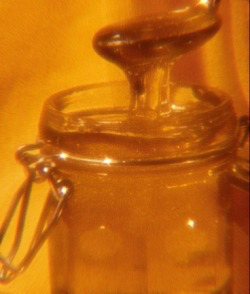 IMG 6156.png