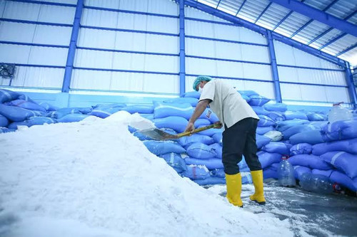 Penyusunan Studi Kelayakan Pabrik Garam Industri PT SPJT (Perseroda)