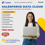 Best Salesforce Data Cloud Online Training | Online Course