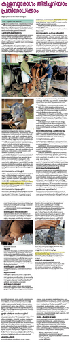 Subin K Mohan.png