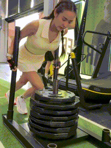 Chippy 080726.gif