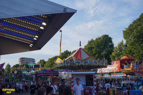 DSC04404 Watermarked.jpg