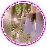 41880.gif
