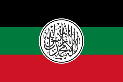 pan arab islamic flag v0 cc417whxi5dd1 ezgif.com webp to jpg converter.jpg