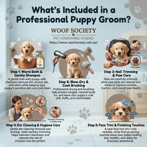 What's Included in a Professional Puppy Groom.2