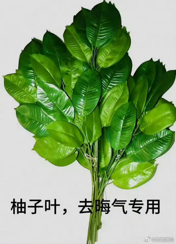 005Lcs3Wly1iew88la96wj30j60ql0wh.jpg