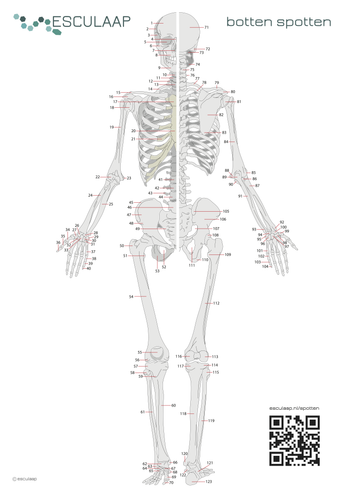 f4f6bdb458e3.png