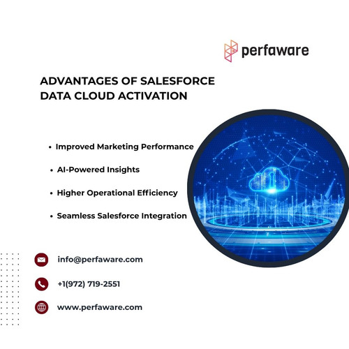 Advantages of Salesforce Data Cloud Activation.jpg