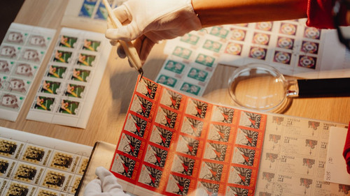 Custom Stickers Printing & Glass Stickers Printing Services kamarn Malik Events..jpg