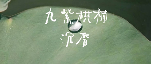 8f00e3688191.jpg