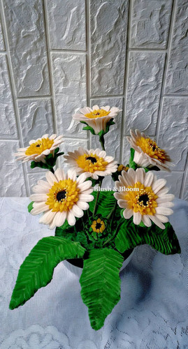 FB IMG 1783485586214.jpg